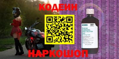 СК Тверь